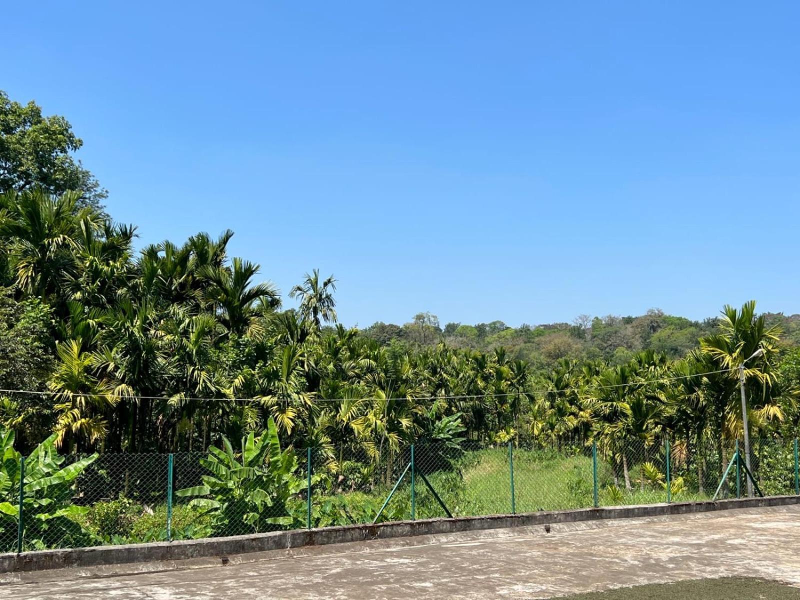 Emerald Castle Villa Madikeri Ngoại thất bức ảnh